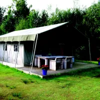 camping-hoeve-aan-den-weg-oude-willem-j4lna