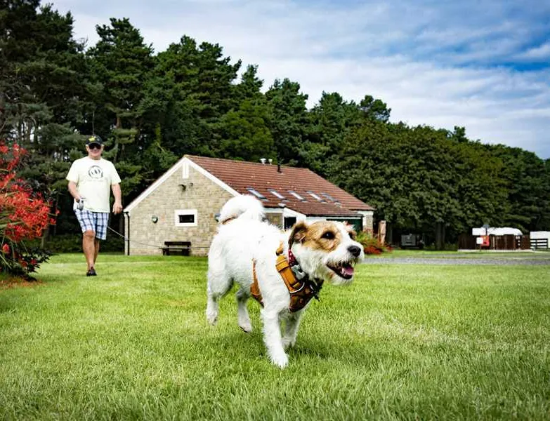 camping-and-caravan-club-site-dunstan-hill-alnwick-zqgcp