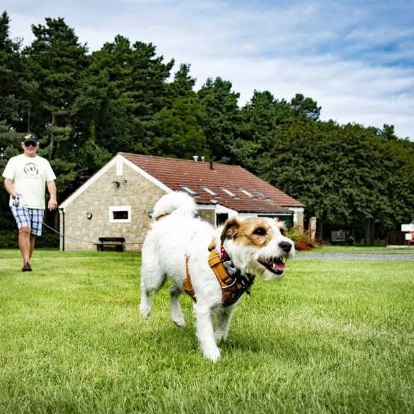 camping-and-caravan-club-site-dunstan-hill-alnwick-zqgcp