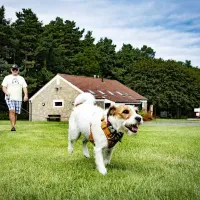camping-and-caravan-club-site-dunstan-hill-alnwick-zqgcp