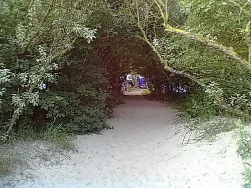 ostseecamp-rostocker-heide-graalmritz-eqr9y