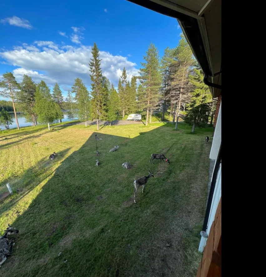 camping-kuusamon-portti-kuusamo-nk3a6