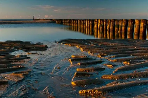 hof-de-driesprong-aan-strand-domburg-9g9kq