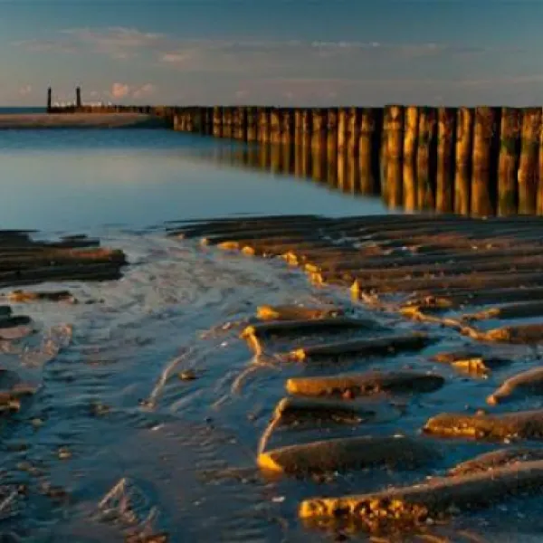 hof-de-driesprong-aan-strand-domburg-9g9kq