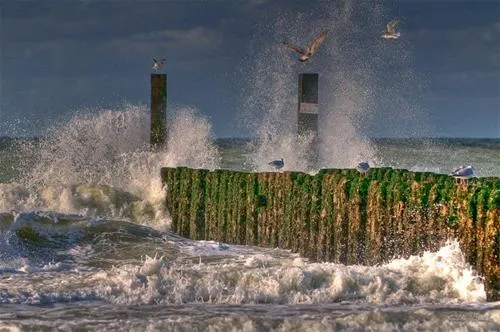 hof-de-driesprong-aan-strand-domburg-ic9hy