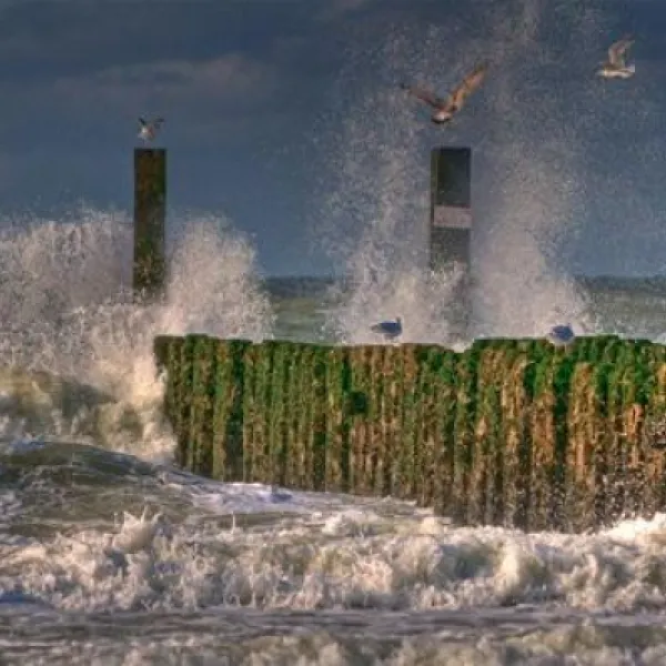 hof-de-driesprong-aan-strand-domburg-ic9hy