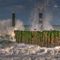 hof-de-driesprong-aan-strand-domburg-ic9hy