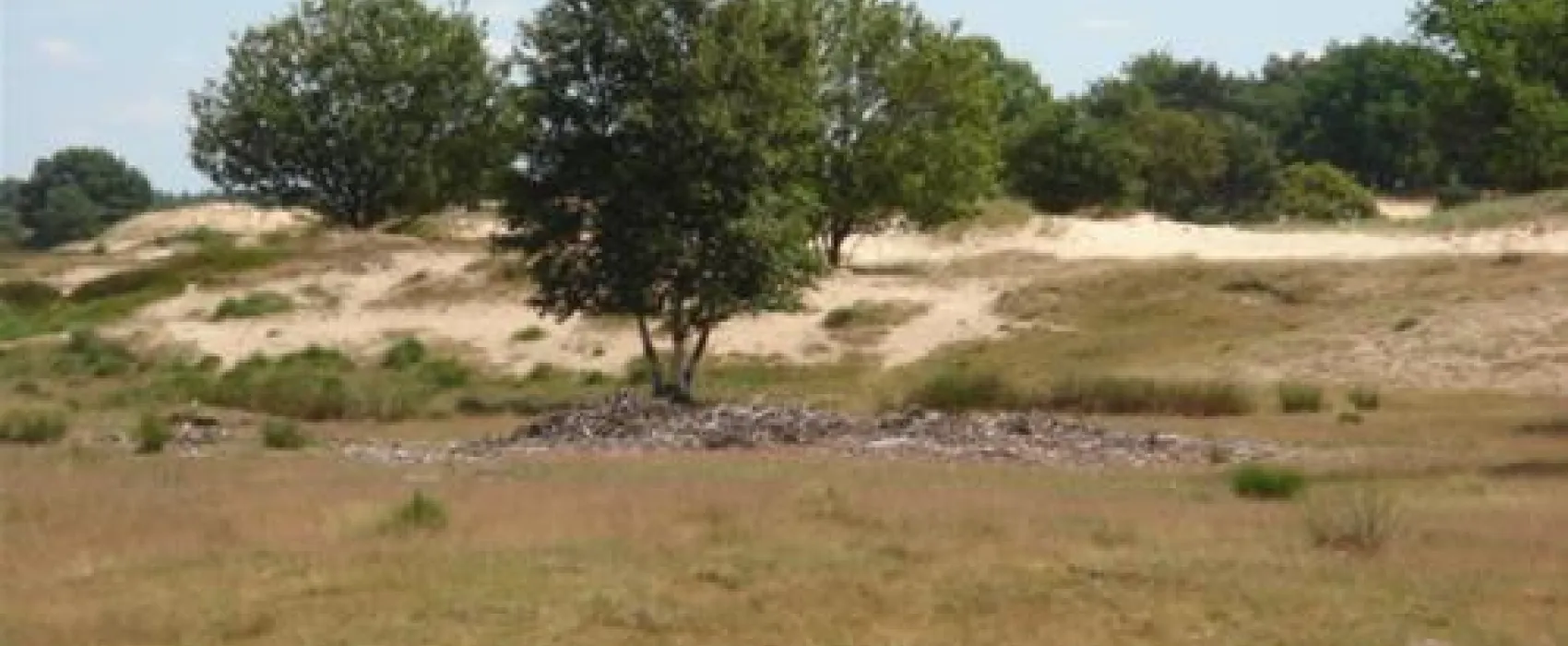 Camping Alkenhaer