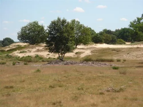 camping-alkenhaer-appelscha-szall