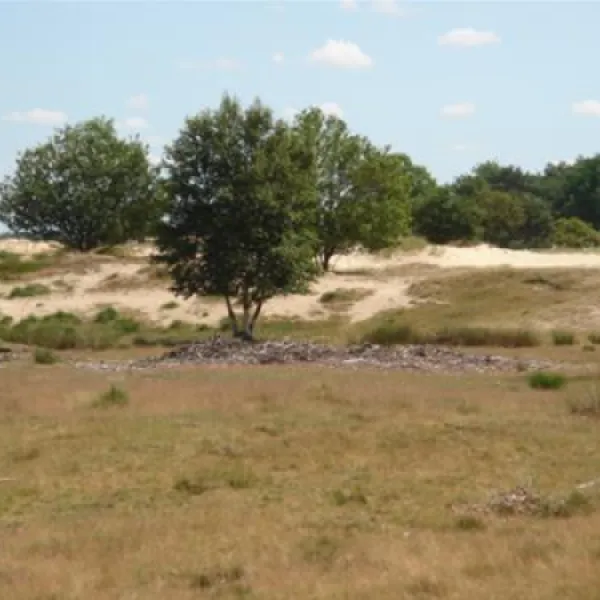 camping-alkenhaer-appelscha-szall