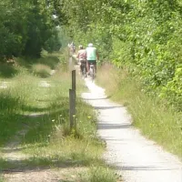 camping-alkenhaer-appelscha-z1dk7