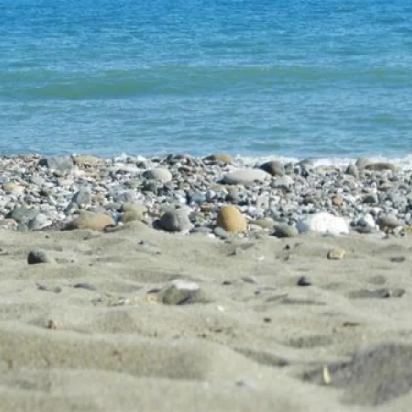 camping-parque-tropical-estepona-2di7r