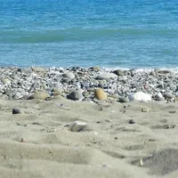 camping-parque-tropical-estepona-2di7r