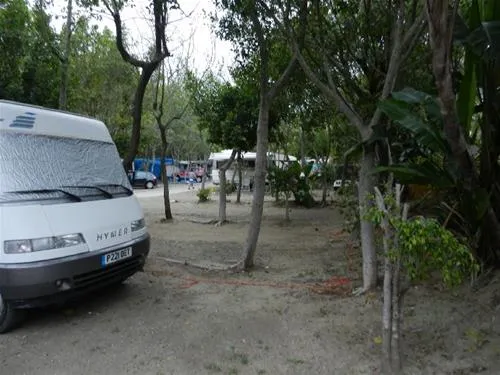 camping-parque-tropical-estepona-ntype