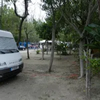 camping-parque-tropical-estepona-ntype