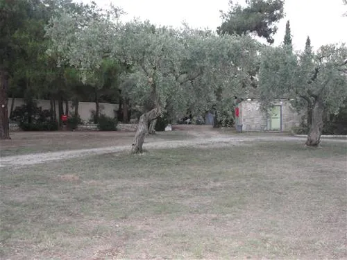campsite-pefkari-pefkari-27hff