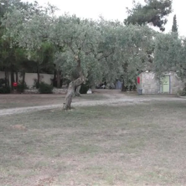 campsite-pefkari-pefkari-27hff