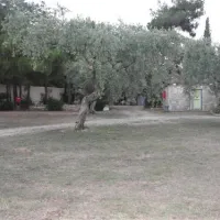 campsite-pefkari-pefkari-27hff