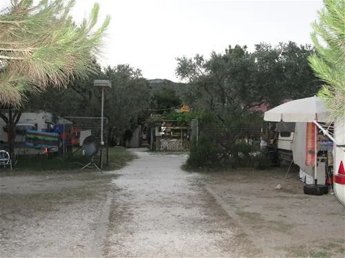 campsite-pefkari-pefkari-4ny2m