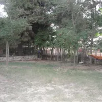 campsite-pefkari-pefkari-kwvqo