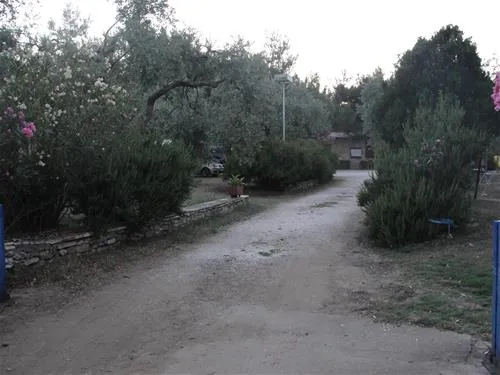 campsite-pefkari-pefkari-nfjwu