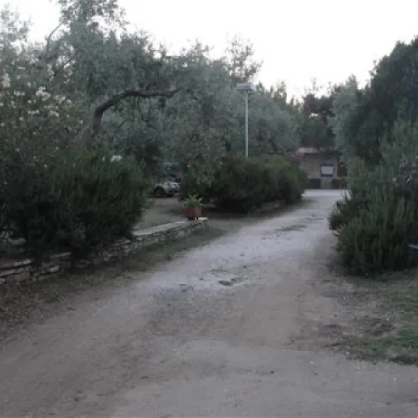 campsite-pefkari-pefkari-nfjwu