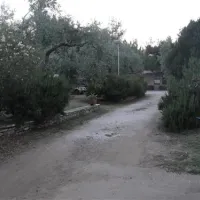campsite-pefkari-pefkari-nfjwu