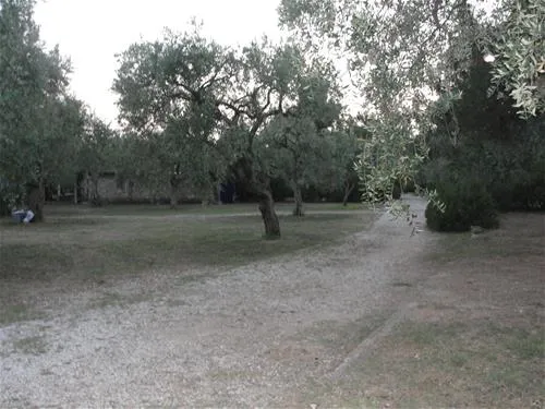 campsite-pefkari-pefkari-qysbe