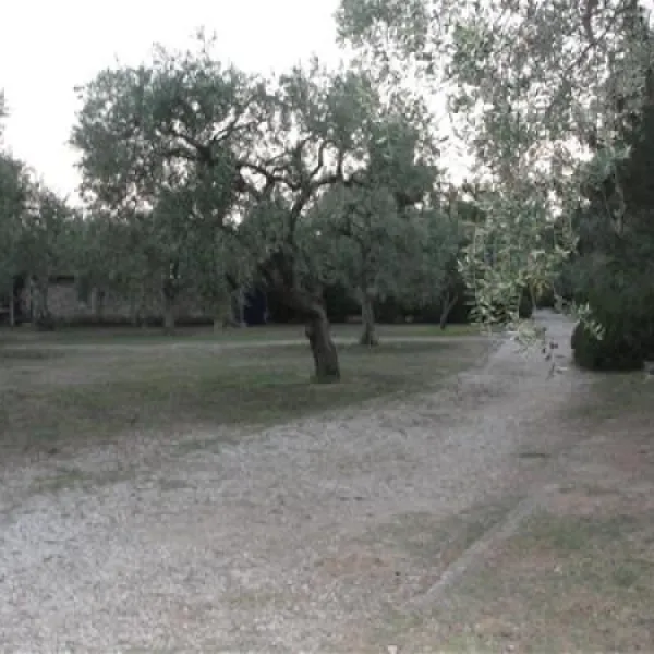 campsite-pefkari-pefkari-qysbe