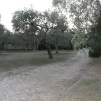 campsite-pefkari-pefkari-qysbe