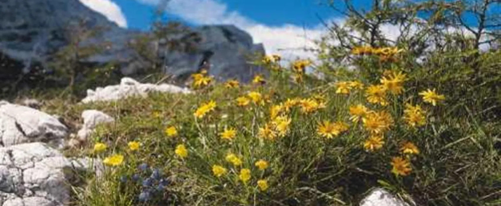 Camping Paklenica