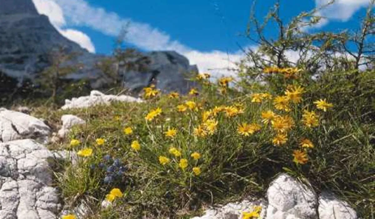 camping-paklenica-starigradpaklenica-ejney