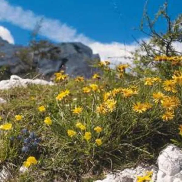 camping-paklenica-starigradpaklenica-ejney