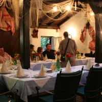camping-paklenica-starigradpaklenica-elvsu