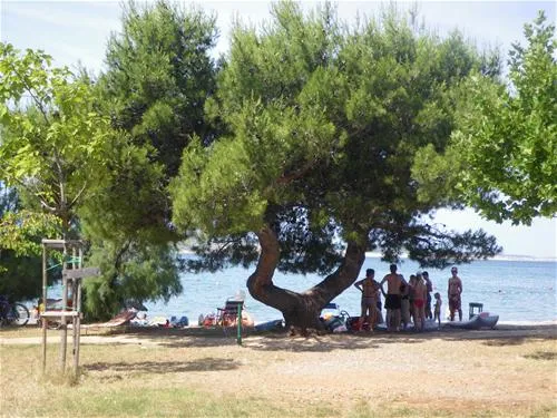 camping-paklenica-starigradpaklenica-grqly