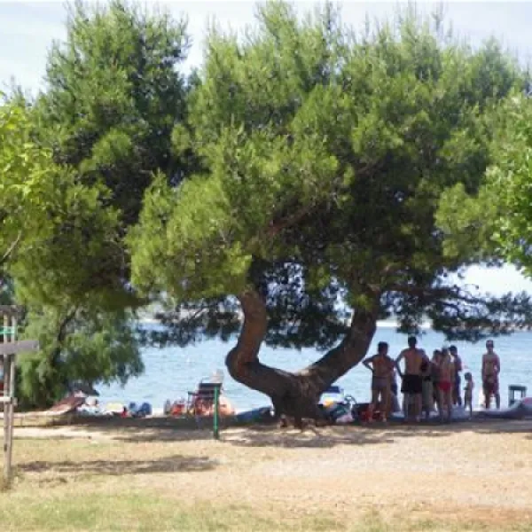 camping-paklenica-starigradpaklenica-grqly