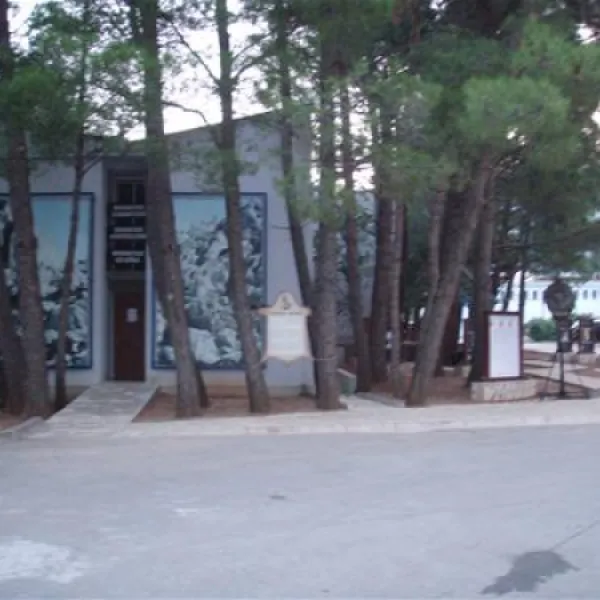 camping-paklenica-starigradpaklenica-lozo0