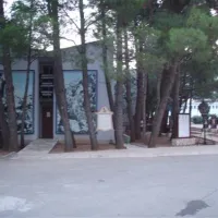 camping-paklenica-starigradpaklenica-lozo0