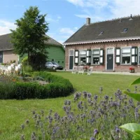 mini-camping-klein-zeeduin-vrouwenpolder-j7g1p