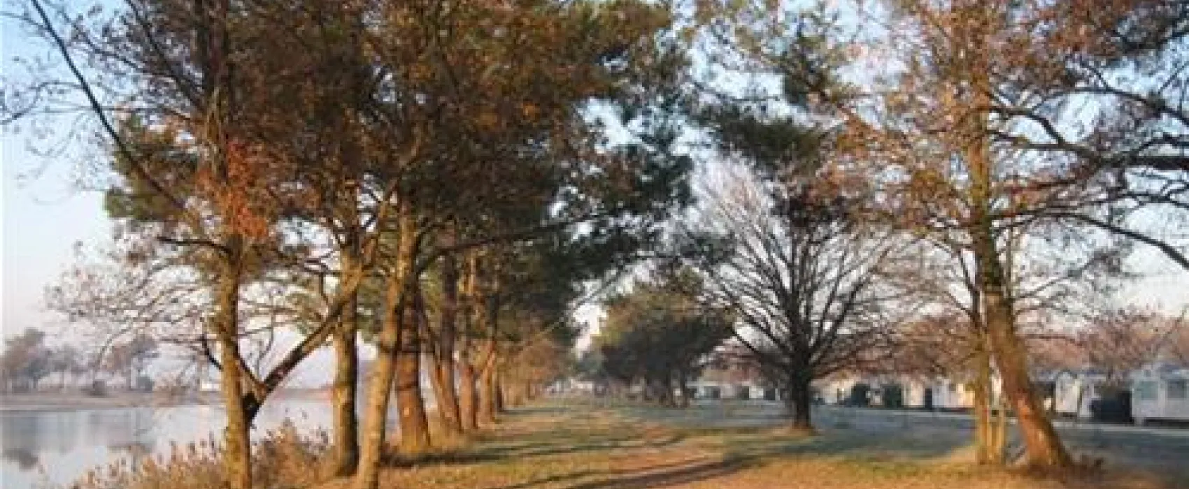 Domaine Du Roumingue  