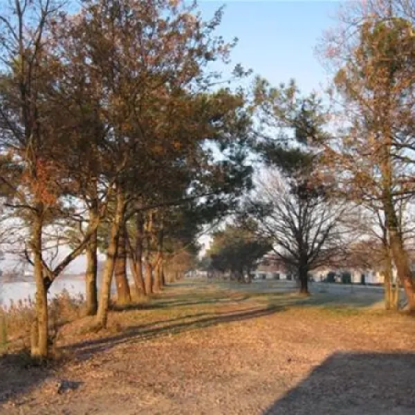 Domaine Du Roumingue  