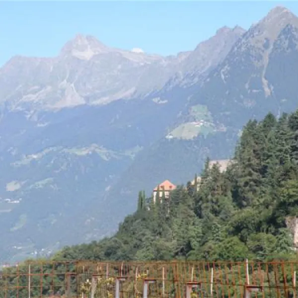 camping-hermitage-merano-meran-gqu6n