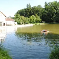 waldcamping-stubenweiher-limbach-0j7mx