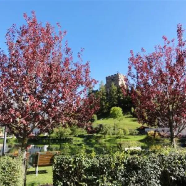 aktiv-camping-prutz--tirol-prutz--0afsr