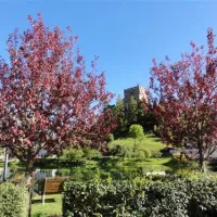 aktiv-camping-prutz--tirol-prutz--0afsr