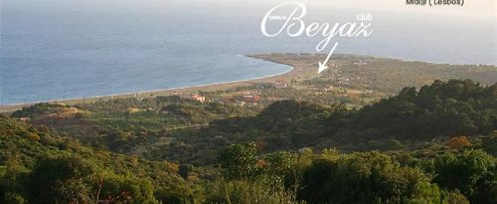 Assos Club Beyaz