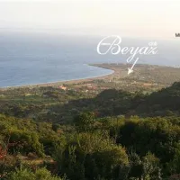 Assos Club Beyaz