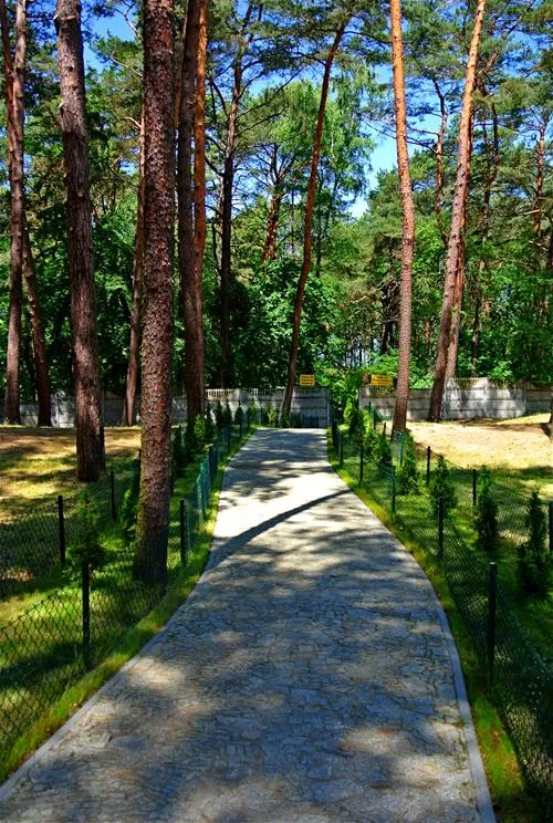 camping-gallus-krynica-morska-2evnx