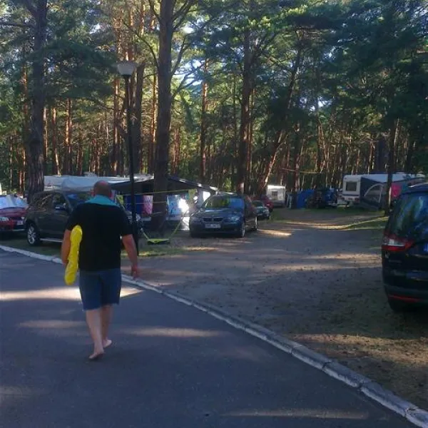 camping-gallus-krynica-morska-tzn81