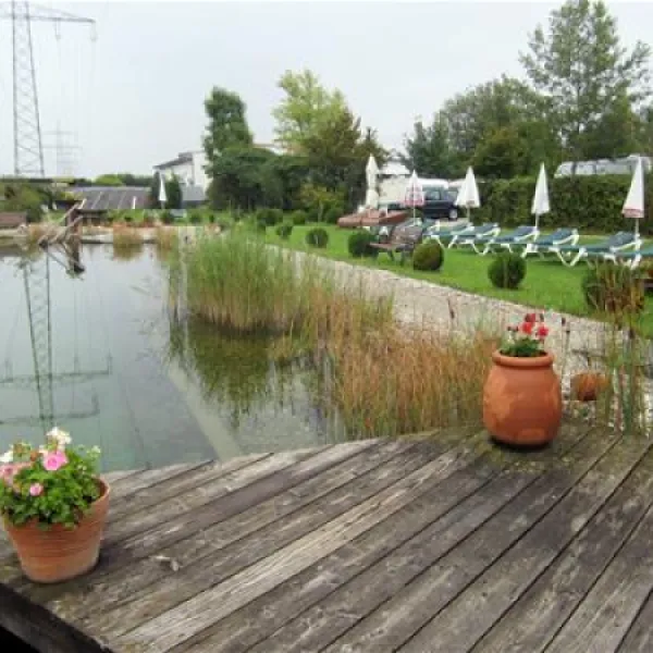 kur-und-feriencamping-max-1-bad-fssingegglfing-cy1vc